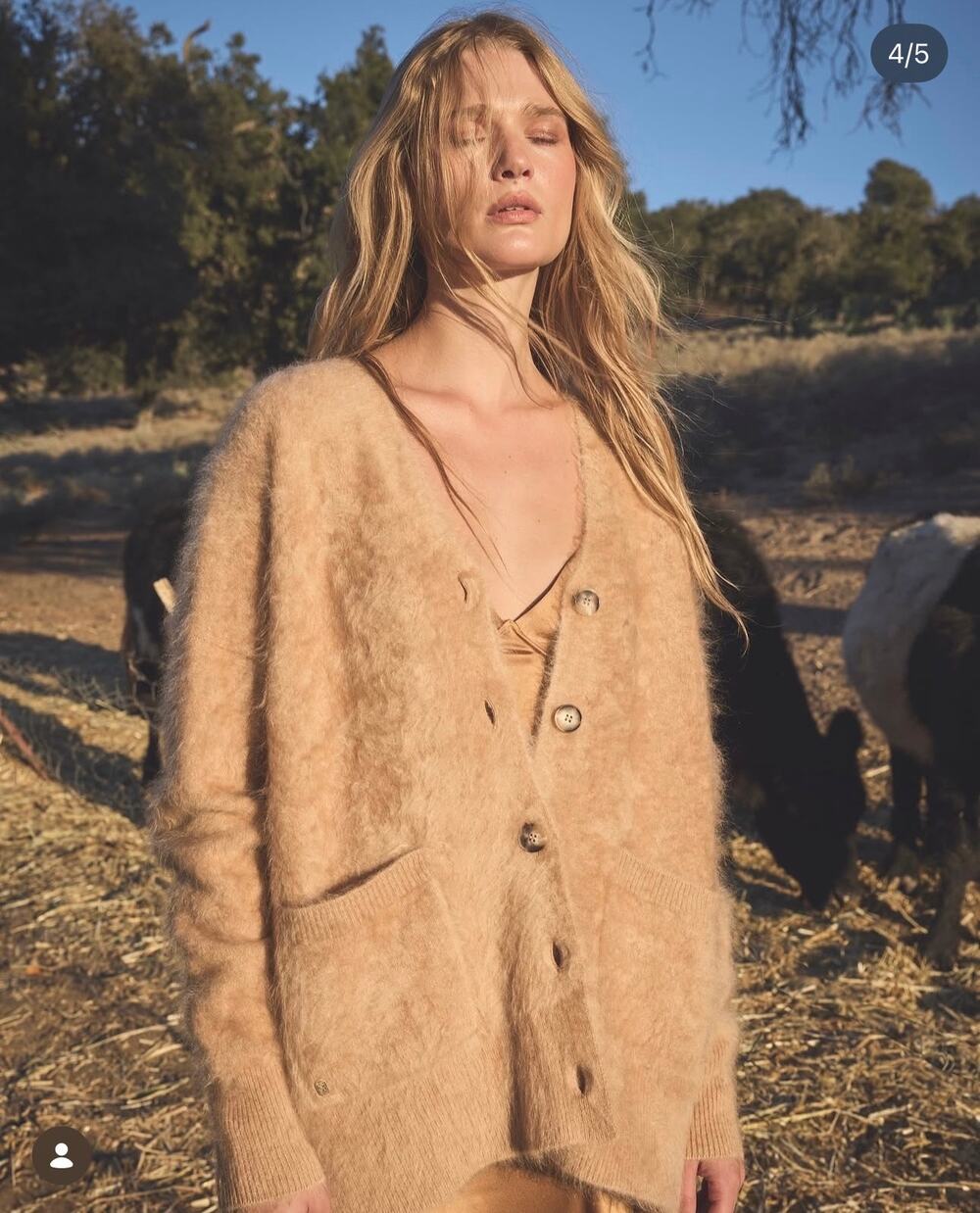 NakedCashmere Oversized Brushed Cashmere Cardigan Camel Fuzzy NWT